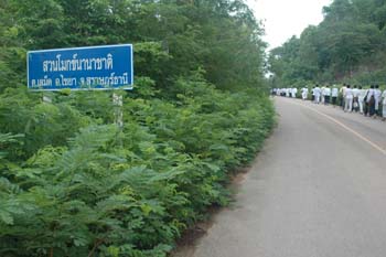 Suan_Mok_017
